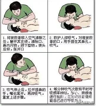 事故现场急救知识相关内容,急救知识大全500字