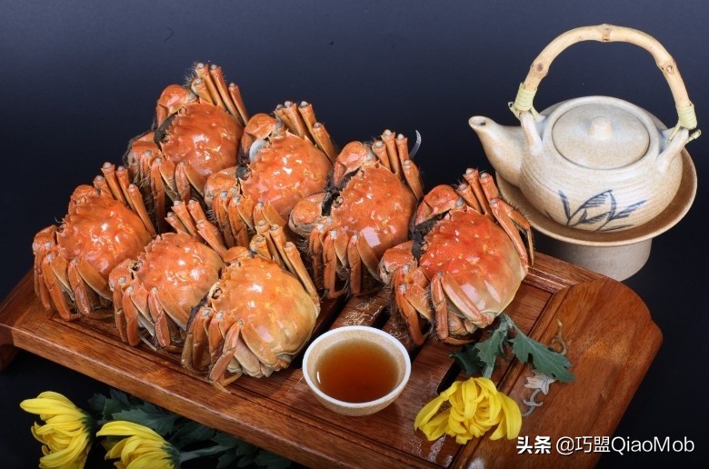 萌新新手入门教程原神,萌新入门攻略推荐