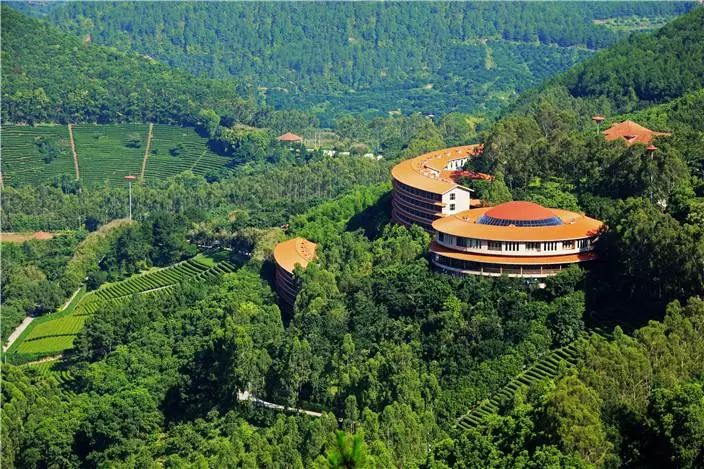 春节梅州自驾游十大景点推荐,梅州国庆夜景景点大全