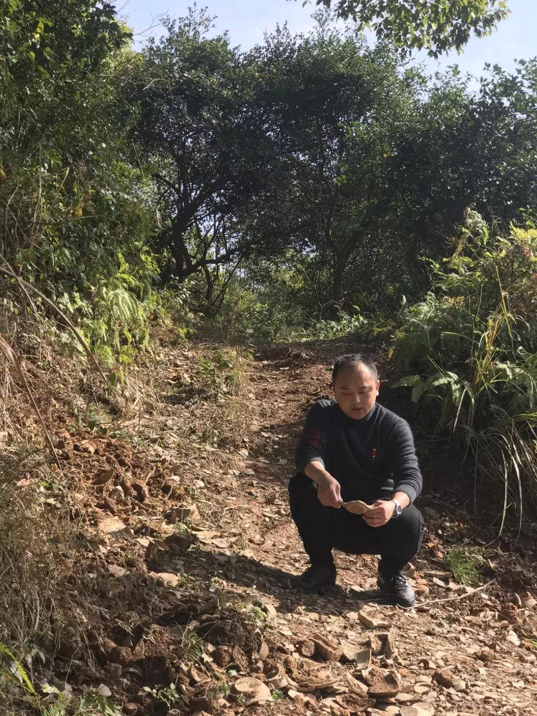 陶瓷艺术新星！深圳文博会金奖得主杨博，面向世界、扎根赣东北