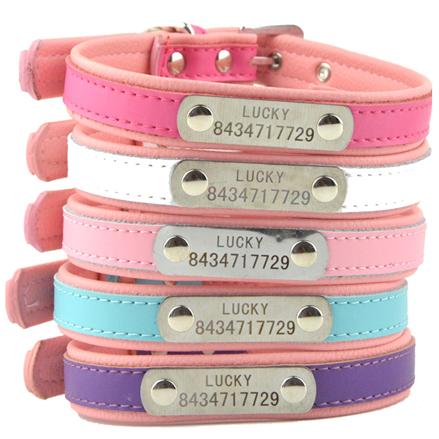 十年深耕专业市场,全球宠物用品市场