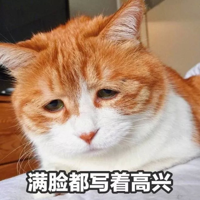 养猫包包,养猫保健药