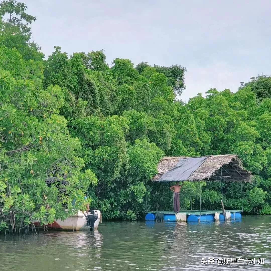 这座隐居别墅，上过设计杂志得过奖，是一位低调女主人的私宅