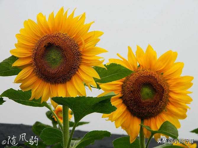 单车骑行无锡,无锡单车骑行路线