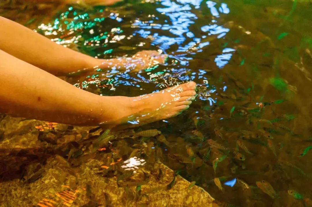 天津刘老根附近游玩,天津刘老根附近好玩的地方