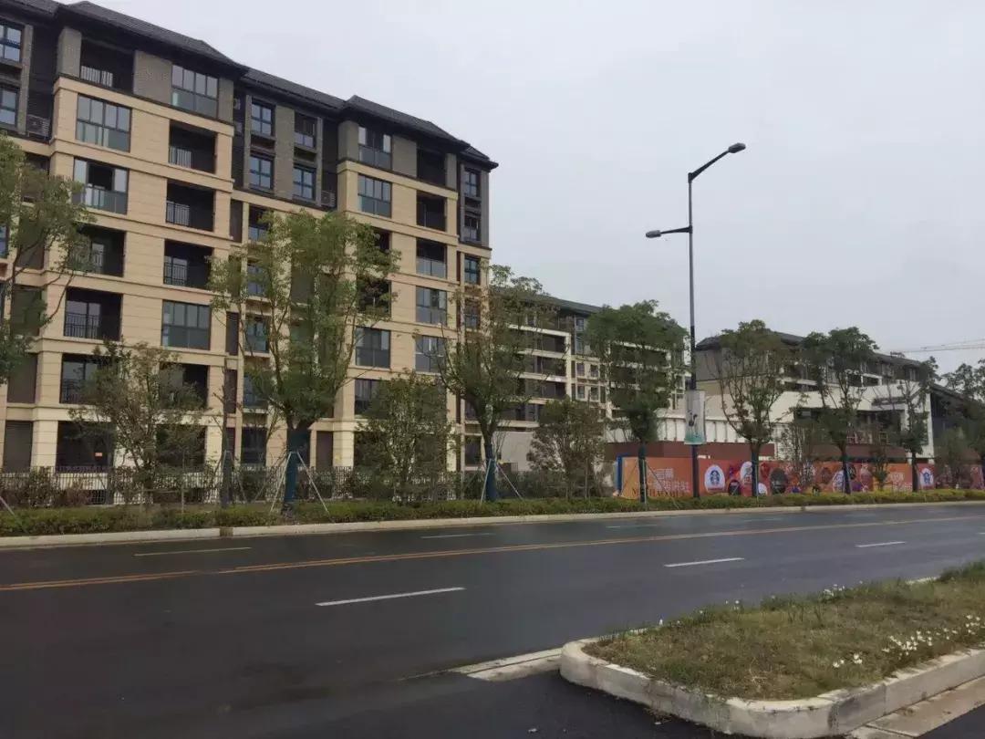 苏州阳山新城未来规划,新苏州乐园附近规划曝光