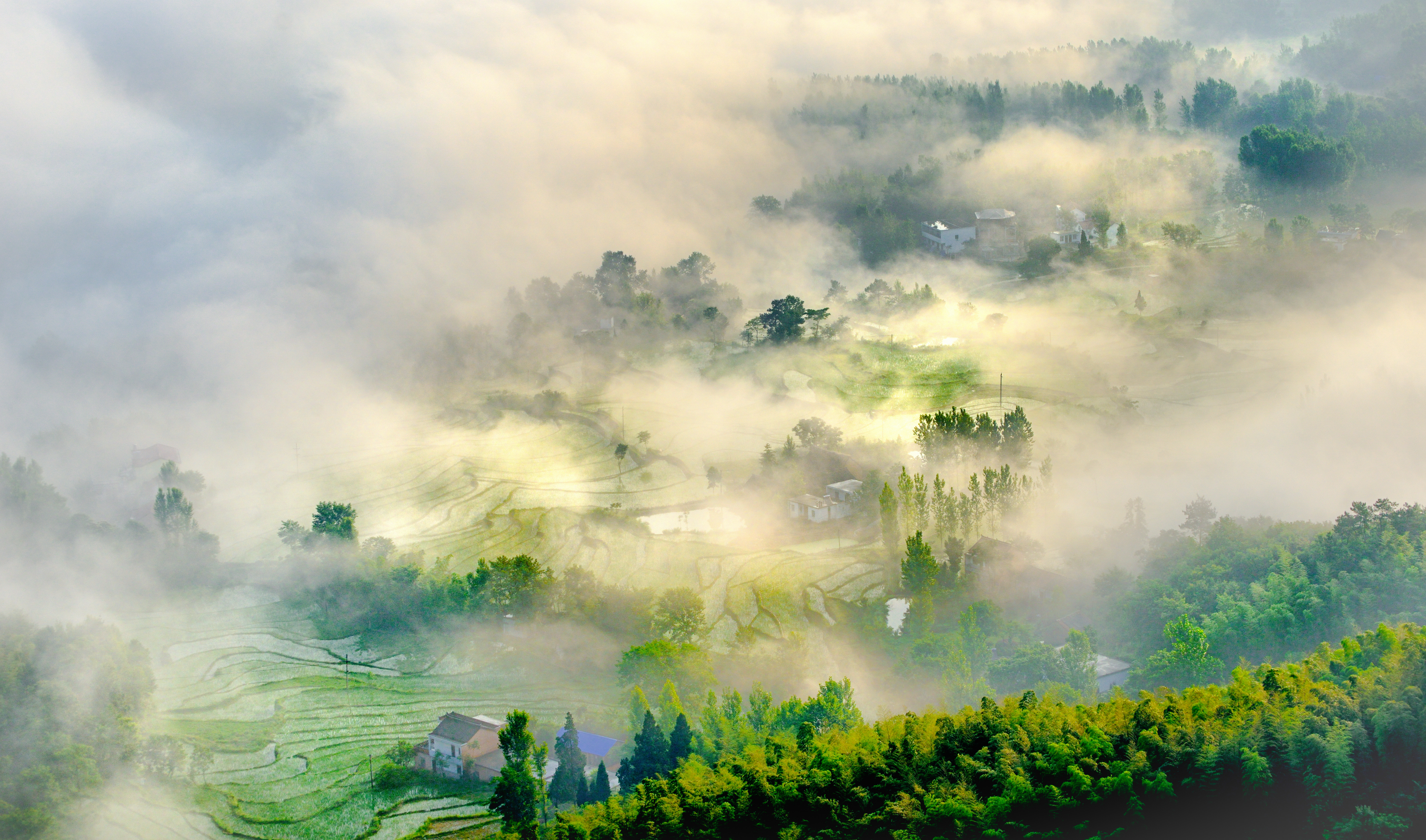 我与尼康北京行,尼康70-300mmf4.5-5.6g画质