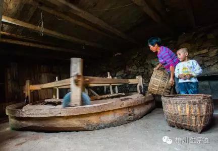 “茶油煮饭，锅底刮烂”！罗定的你试过了吗？