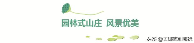 99温泉度假酒店团票,99元抢套房