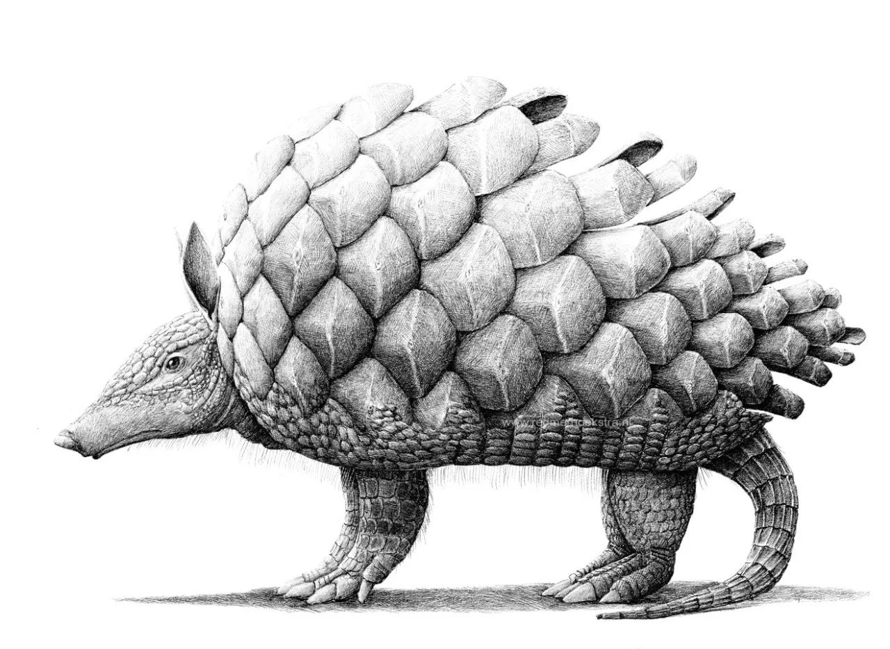 脑洞大开的创意绘画方式,脑洞大开的素描