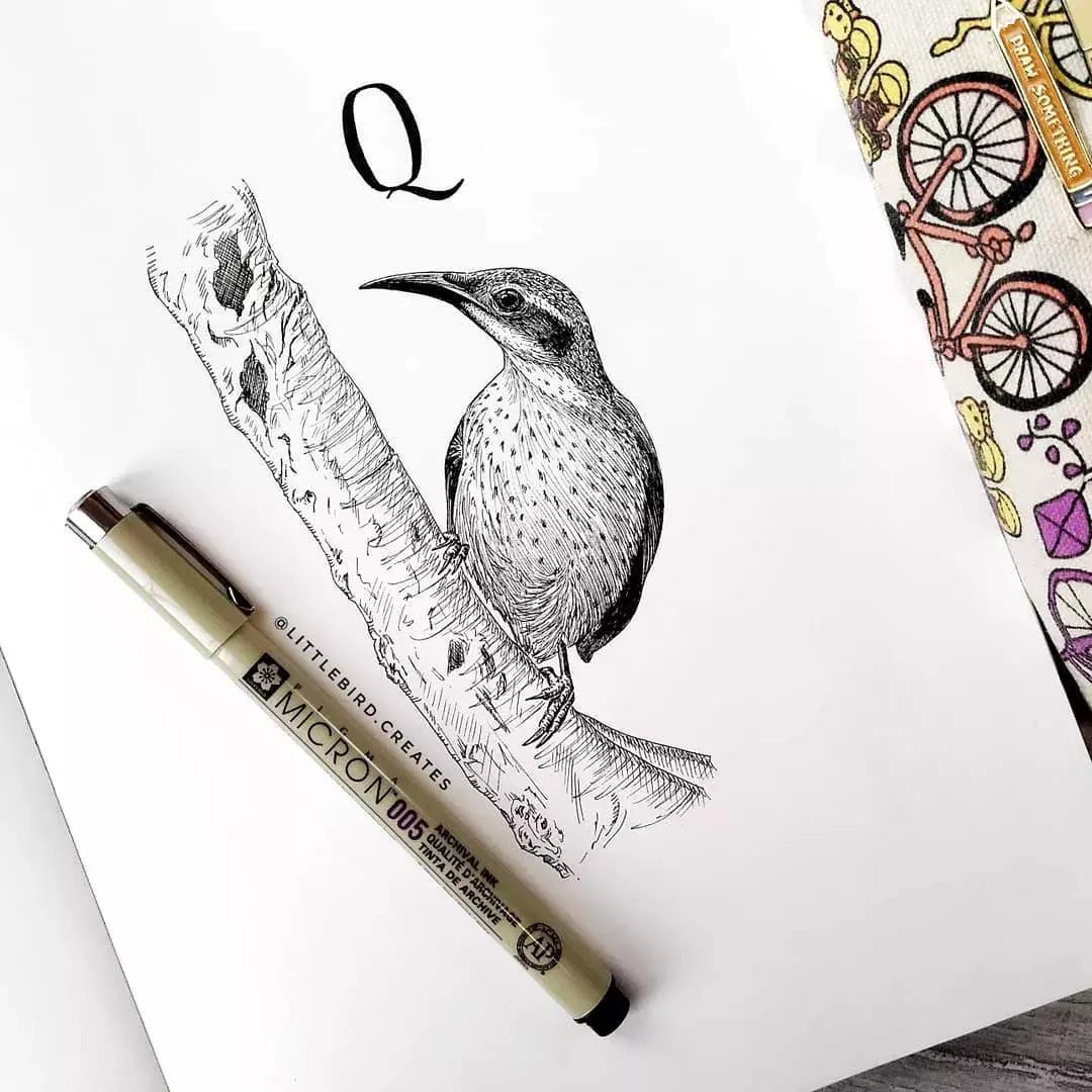 这一波手绘太给力了,绝对让你练完不厉害都难