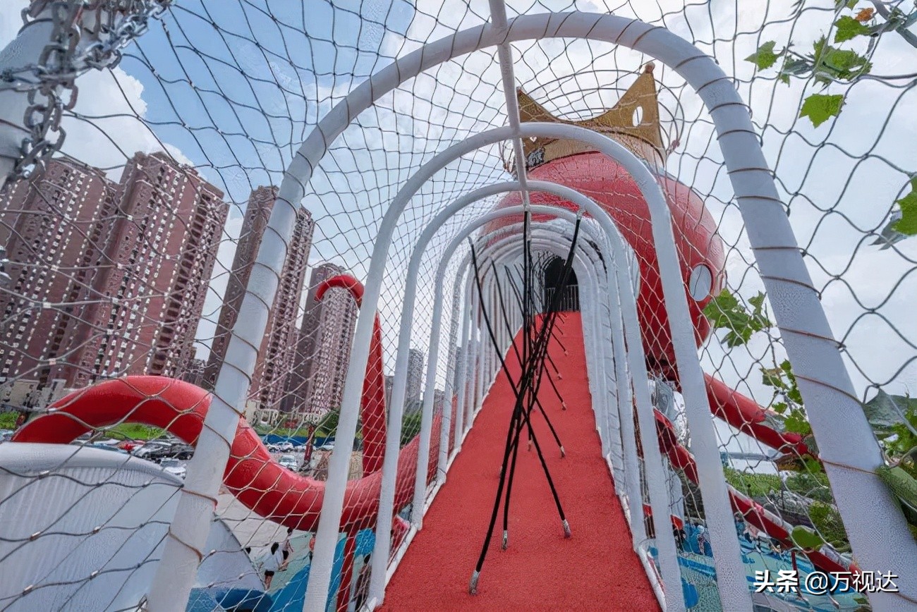 不负夏日好时光亲水游走起,不负金秋好时光