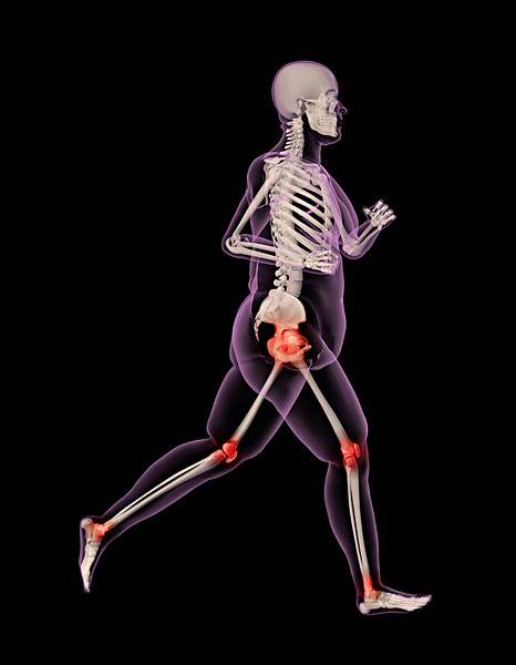 胖人怎么锻炼不伤膝盖,胖子运动怎么保护膝盖