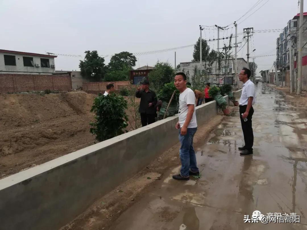 乡村振兴背景下村庄人居环境优化,晋庄镇乡村振兴未来计划