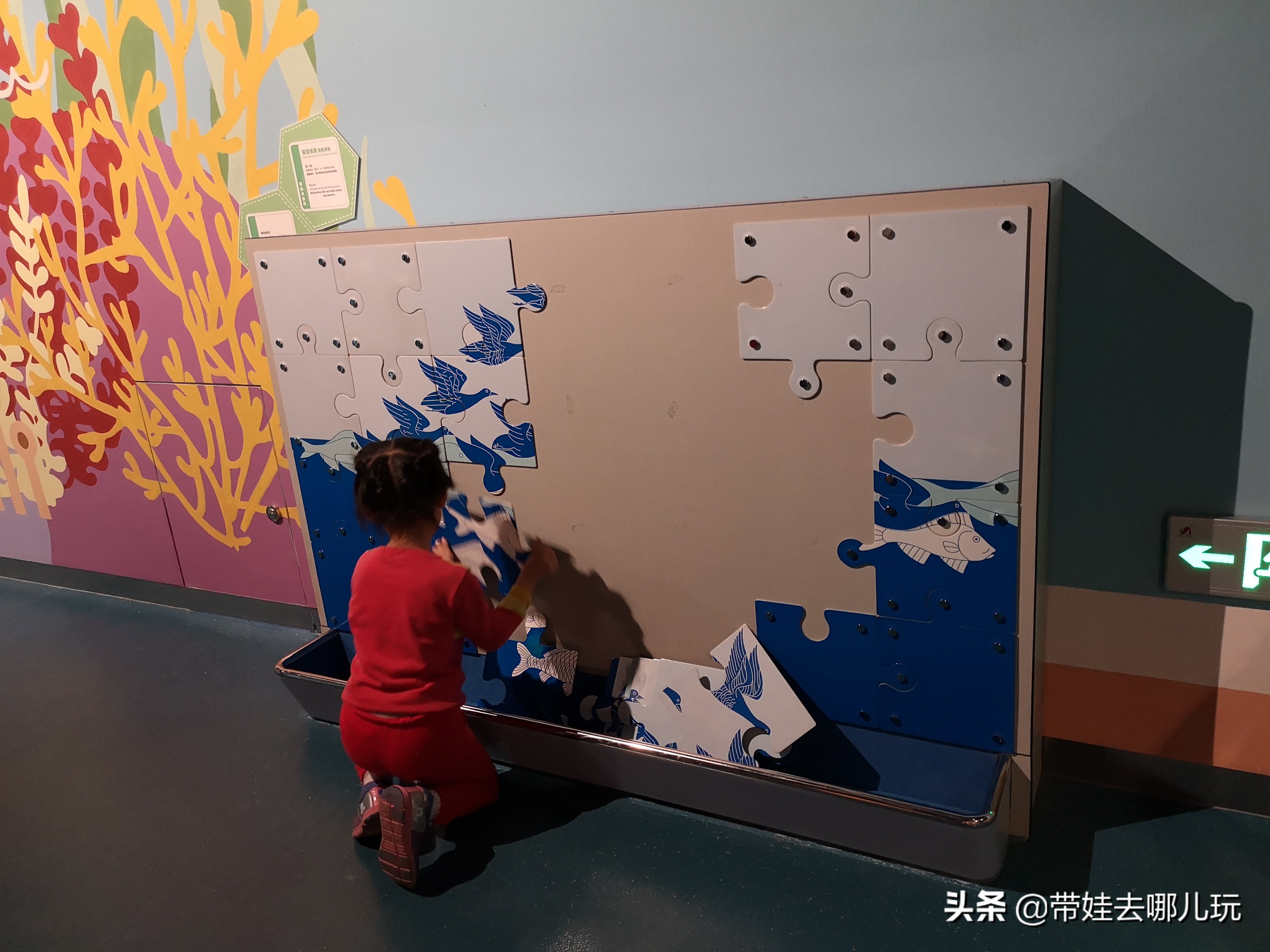 北京最大儿童乐园游乐场,北京最好玩的大童乐园