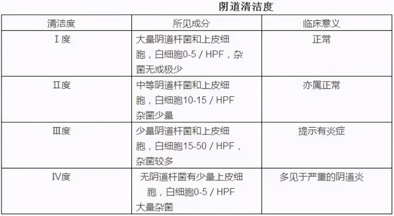 关于白带异常的疑问统统告诉你，怎么读懂白带常规的化验单
