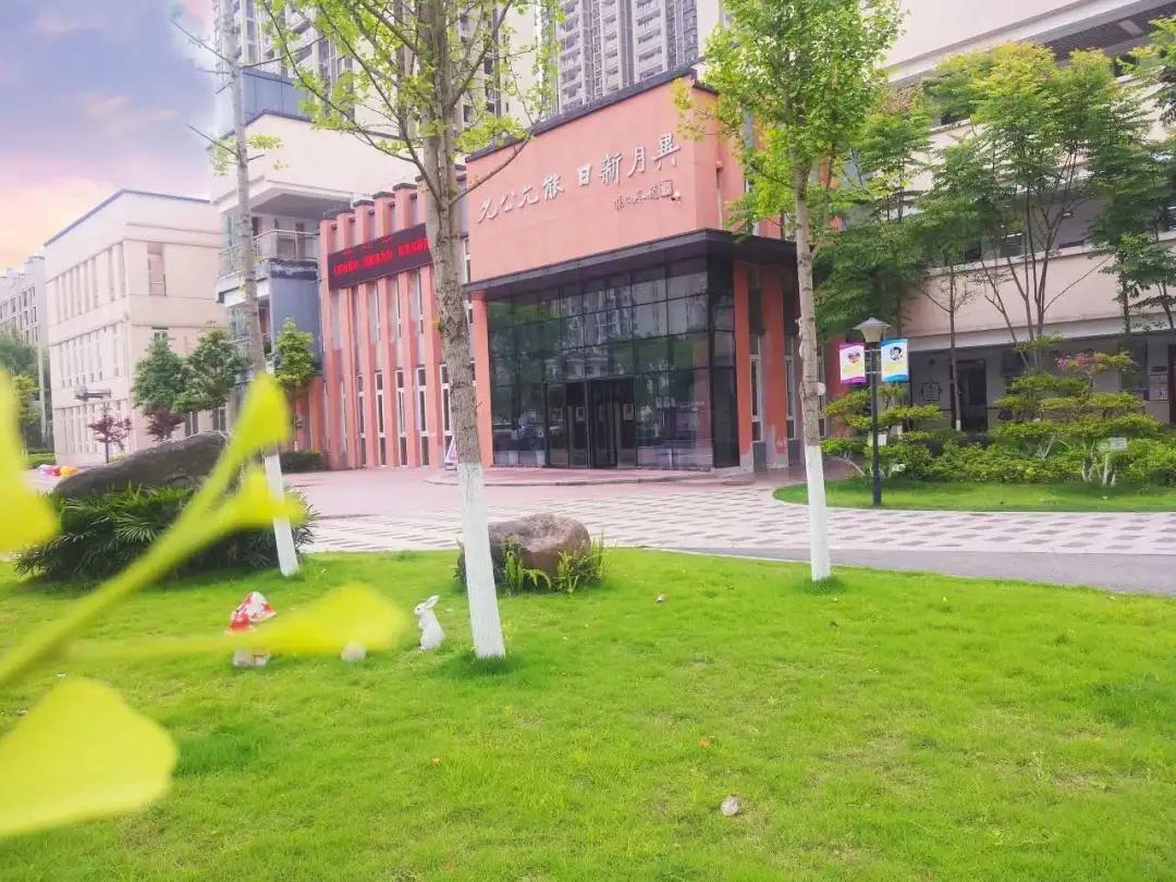 南开比较好的小学,南开好的小学排名