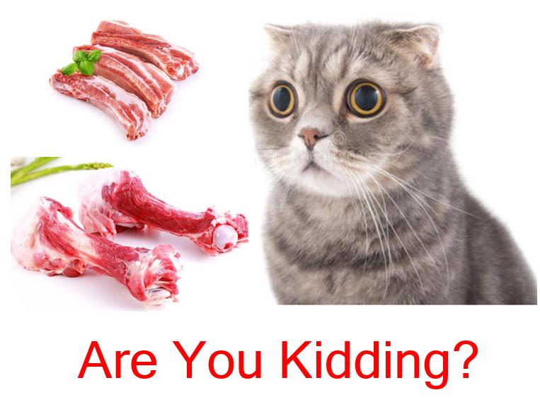 猫咪为什么不能吃骨头,猫为什么要让猫咪吃骨头