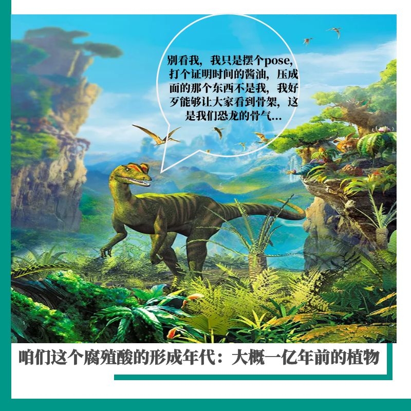 矿源腐植酸是有机肥吗?,矿源黄腐酸钾肥料20kg