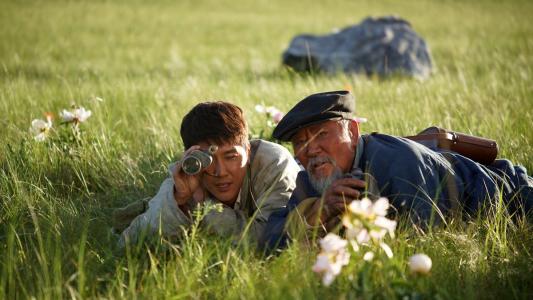 狼图腾巨大争议,狼图腾电影深度解析