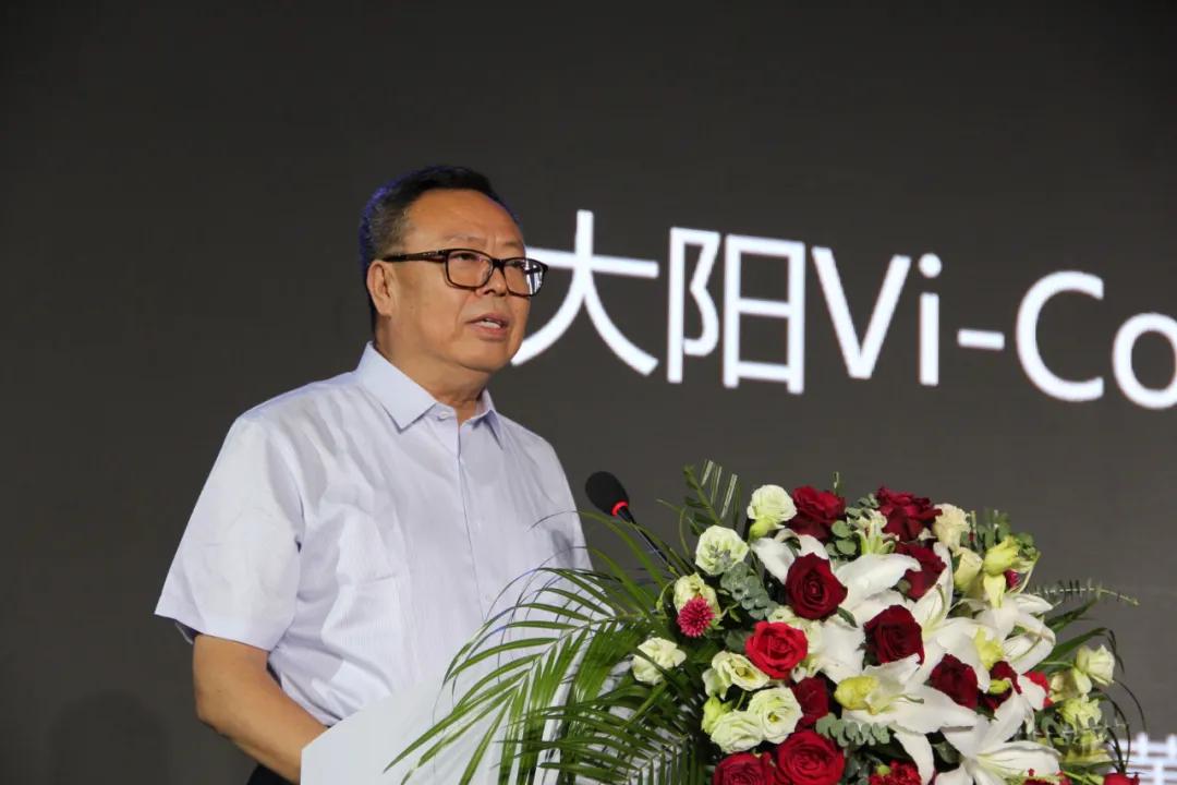 大阳深度评测,大阳解读