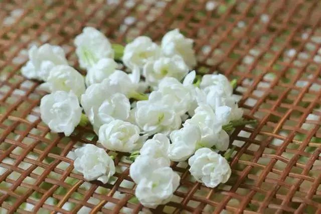 杭州街头的桂花又香了，emmm应该也挺好吃的吧