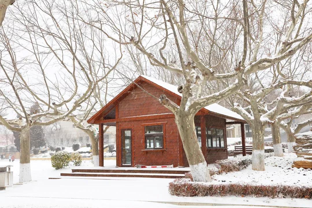 大连海事大学和辽宁省哪个级别高,大连海事大学辽宁省大学排名