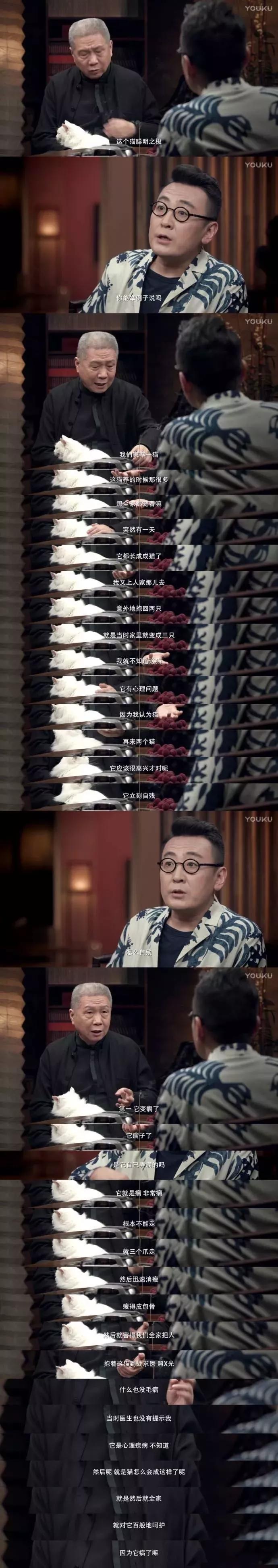 猫咪患上怪病久治不愈生命垂危，医生：打一顿就好了！