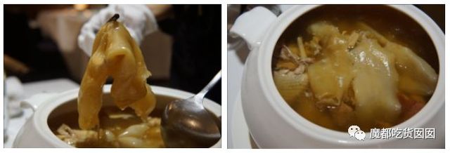 重磅收藏|魔都最全花胶鸡测评，我们为此吃掉200斤花胶鸡！