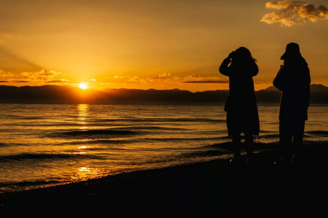 只要你面朝青海湖，八月依旧春暖花开