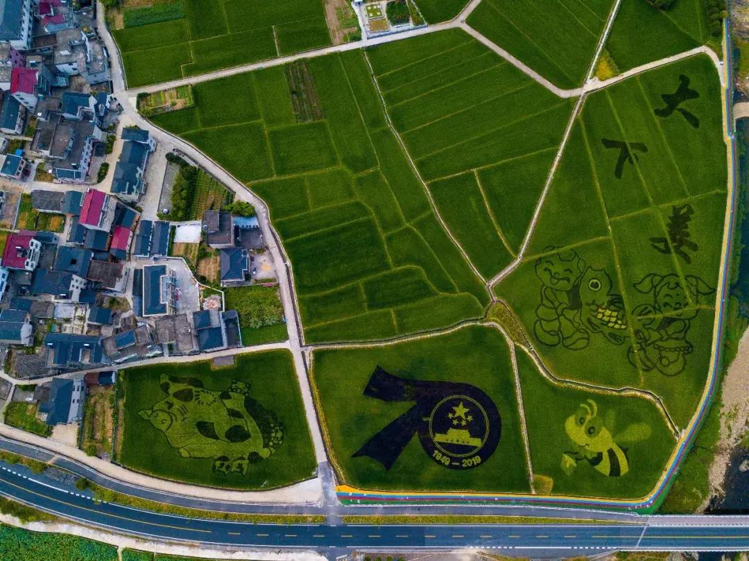 震撼！钱塘江畔出现巨型画作，有28个足球场这么大！