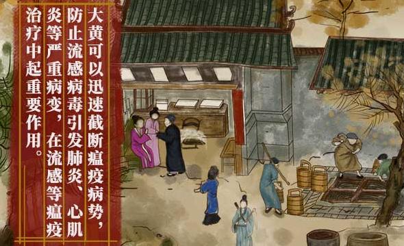 不离不弃的流感,充满传奇的连花