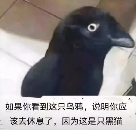 日本留学文化研究,日本留学体验日本文化