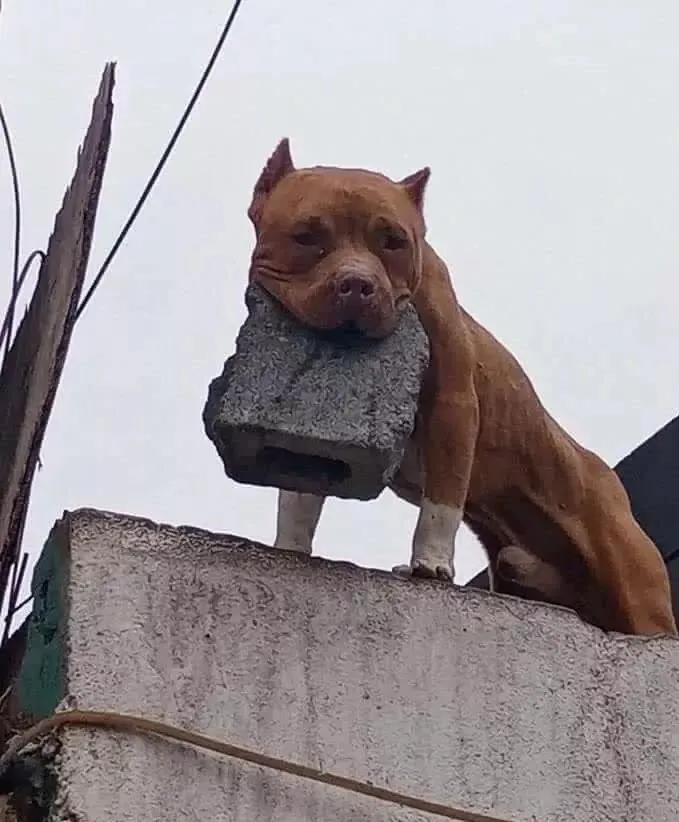 怕了怕了，我走还不行吗？