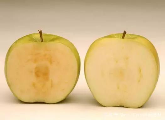 坚持抗氧化真的可以越来越白吗,我们为什么要坚持护肤