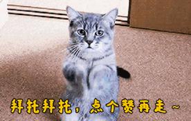 lpl唯一一个0比4,lpl赛区统治力最强的三个上单选手