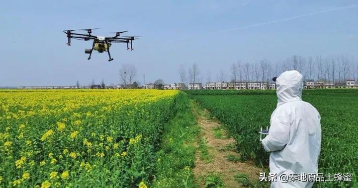 买到真蜂蜜怎么评价,买真的好的蜂蜜去哪里购