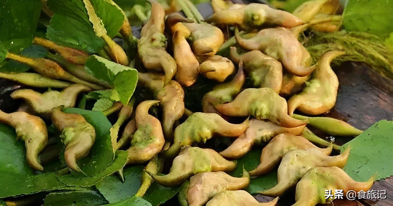 粉糯香甜的洪湖老菱角上市啦,洪湖新鲜鲜嫩菱角4斤