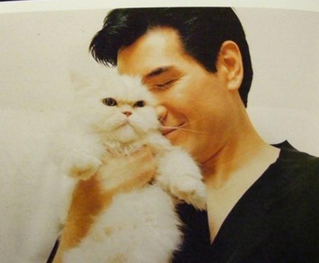 男明星为何喜欢养猫,为什么都说男生不能养猫