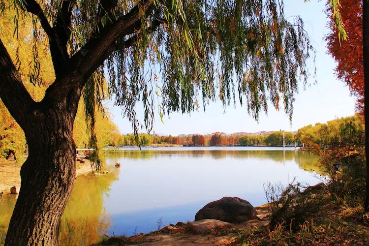 尼康入门单反,单反快速入门攻略