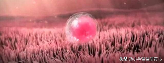 快到青春期的孩子怎么进行性教育,14岁女生早熟该怎么教育