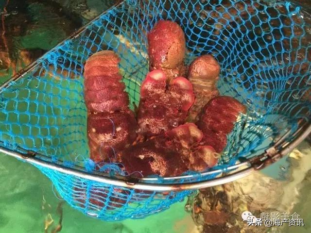 这些诱人的美食你吃过吗,世界上顶级海鲜大全你吃过几种