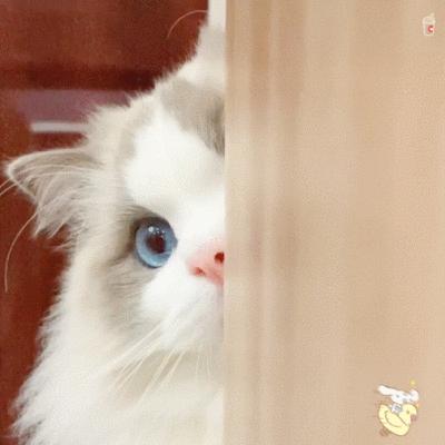 手艺人靠修复化妆品赚钱,修复化妆品月入20万