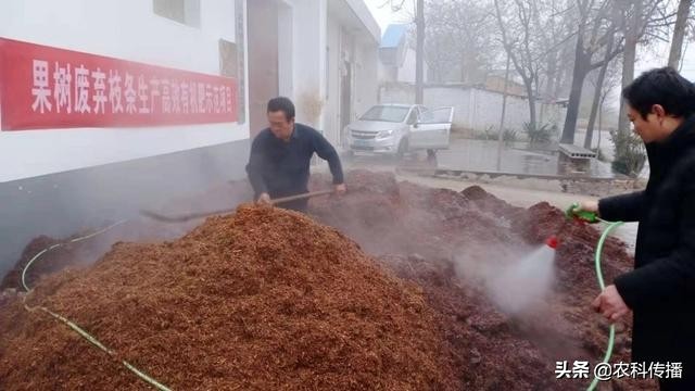 畜禽粪便是很好的有机肥越多越好,畜禽粪便主要原料的有机肥外观