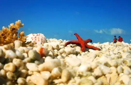 城市印象小区好不好,城市印象海安