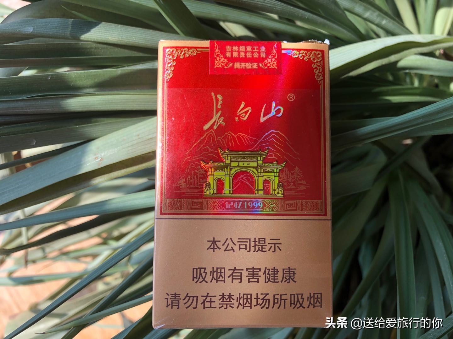 一支香烟飘在空中,一支烟去环游世界