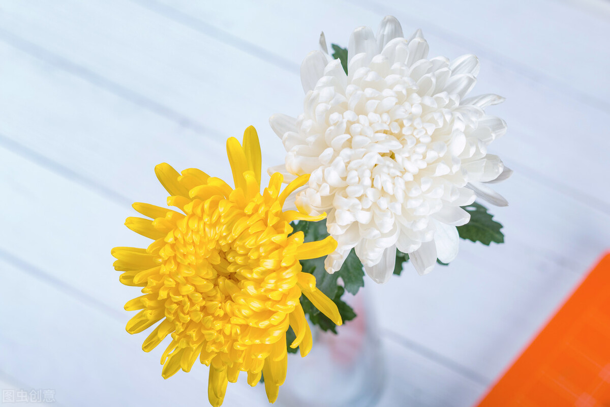 我在直播间做寿衣女模特，入行三年，有位大哥告诉我不要忘记初心