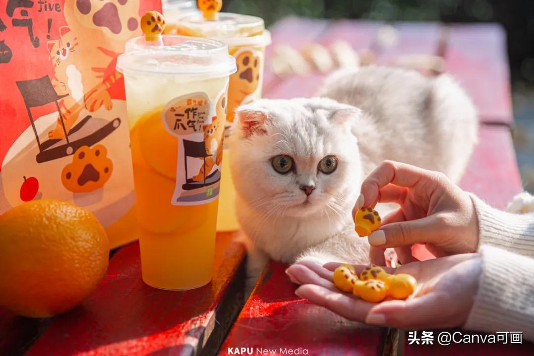 奈雪的茶开茶铺,奈雪的茶开业快剪