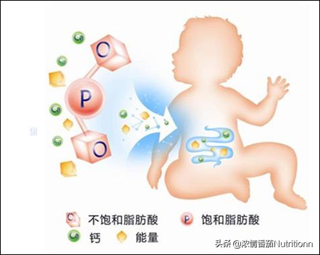 儿童营养奶粉3-12岁成长奶粉,婴儿配方奶粉知识大全