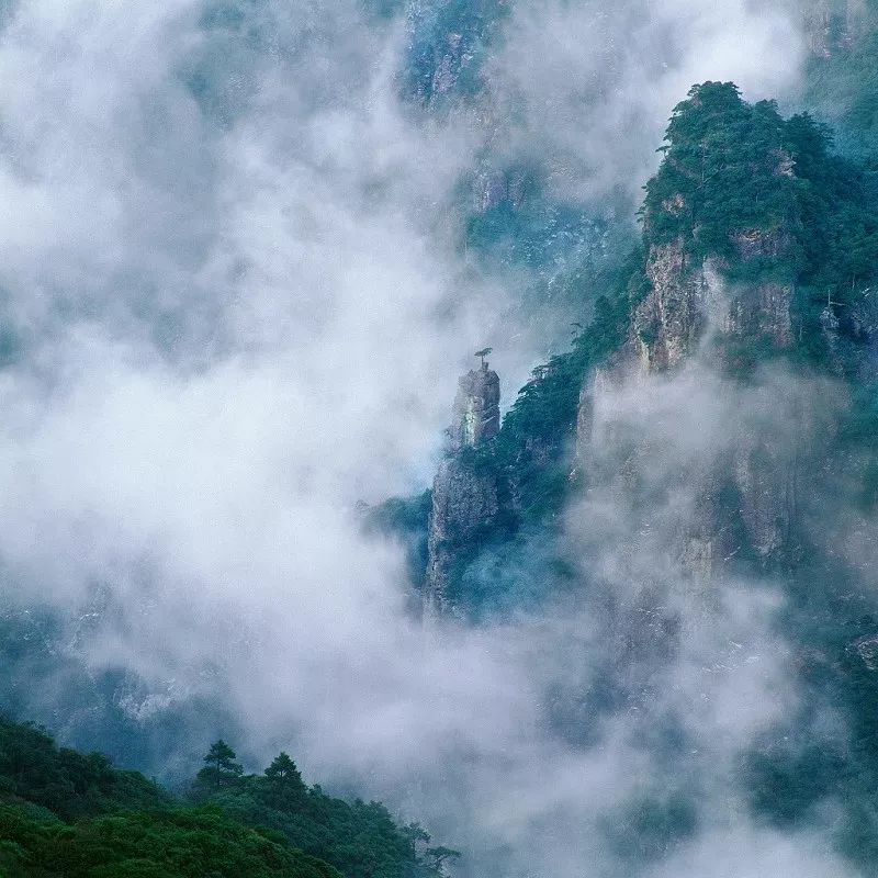 贵州速度，蔚为大观